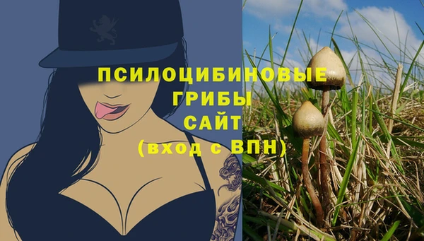 ешки Вязьма