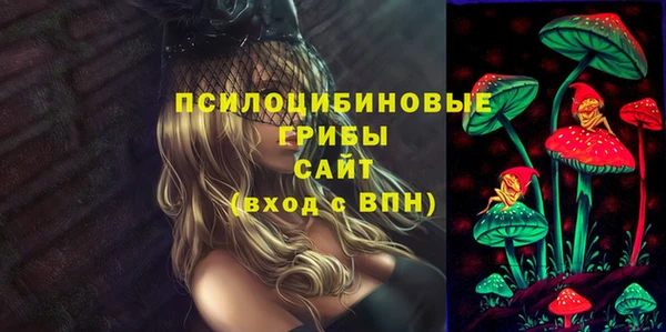 ешки Вязьма